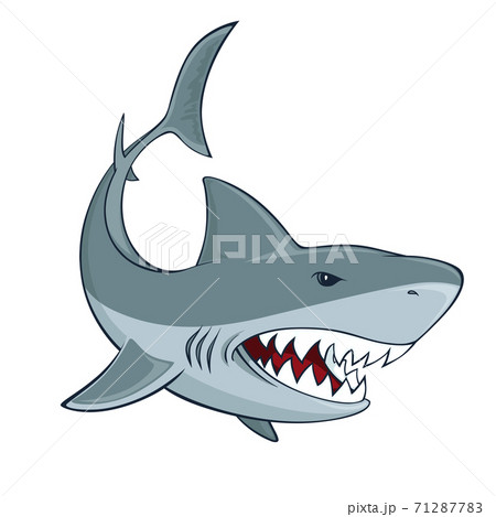 Shark sign 71287783