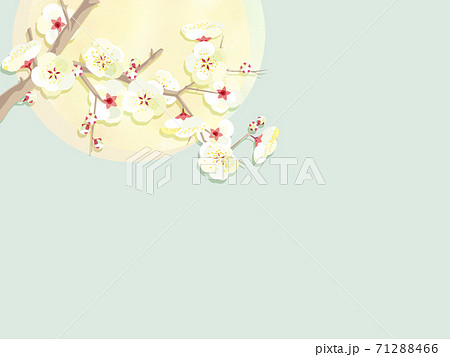 梅の花の壁紙のイラスト素材