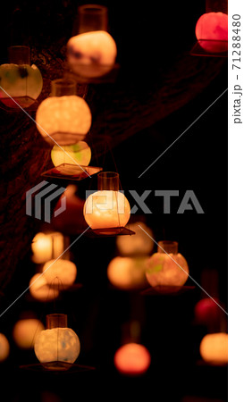 湘南キャンドル 71288480