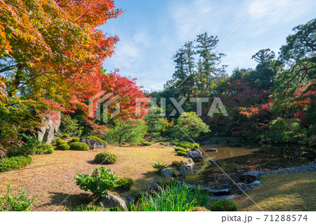 京都　無鄰菴の紅葉 71288574