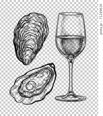 Ink sketch of wineglass and oysters. Ink sketch of wineglass and oysters. 71289616