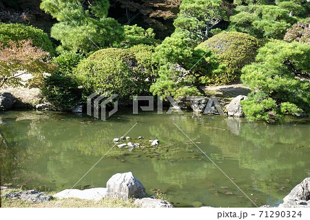 下関市長府庭園 書院の石英ガラス越しに見る庭園 71290324
