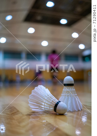 バドミントンのイメージ画像 71290411