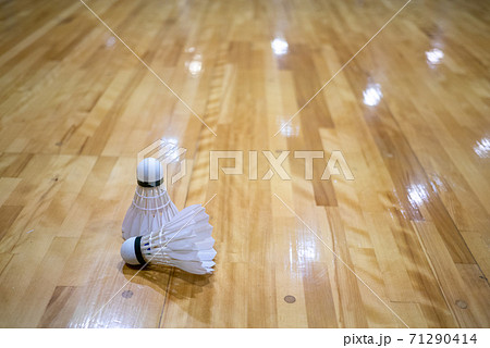 バドミントンのイメージ画像 71290414