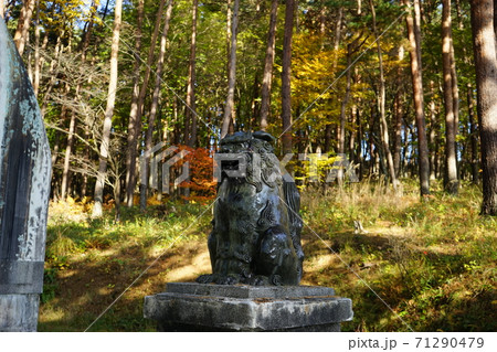 秋の福泉寺は紅葉が素晴らしい 71290479