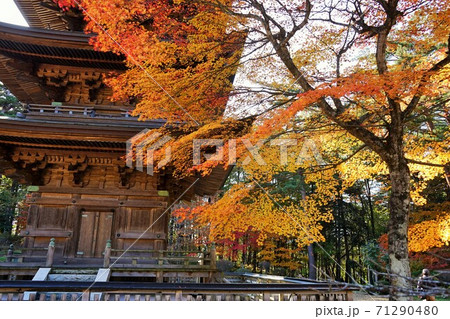 秋の福泉寺は紅葉が素晴らしい 71290480