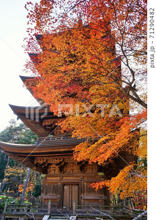 秋の福泉寺は紅葉が素晴らしい 秋の福泉寺は紅葉が素晴らしい 71290482