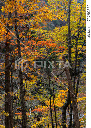 西沢渓谷 71290883