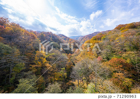 国道298号線、剣桂展望台の紅葉 71290963