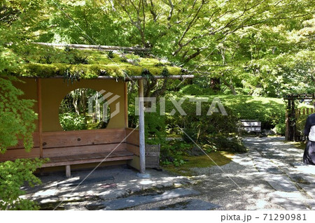 松島 円通院 松島 円通院 71290981