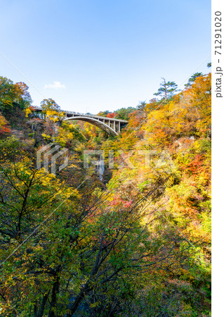 【宮城県】爽やかな青空と鮮やかな紅葉の鳴子峡 71291020