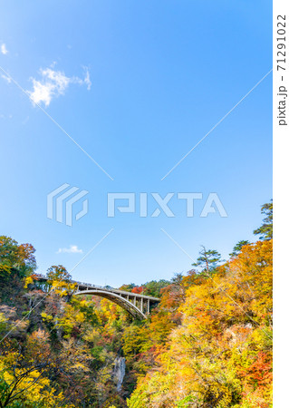【宮城県】爽やかな青空と鮮やかな紅葉の鳴子峡 【宮城県】爽やかな青空と鮮やかな紅葉の鳴子峡 71291022