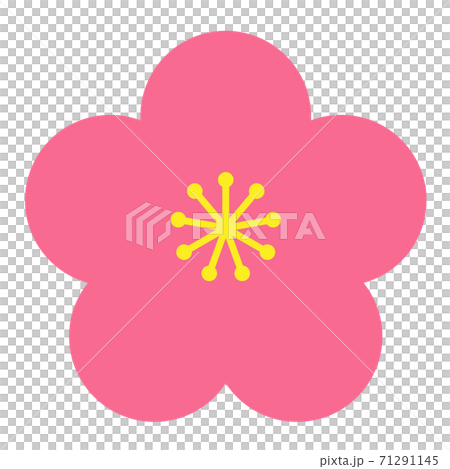 着物やファブリックのデザインに適した単純化されたシンプルな梅の花のイラストのイラスト素材