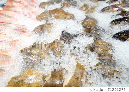 Various fresh fish lying on the ice on the counter 71291275