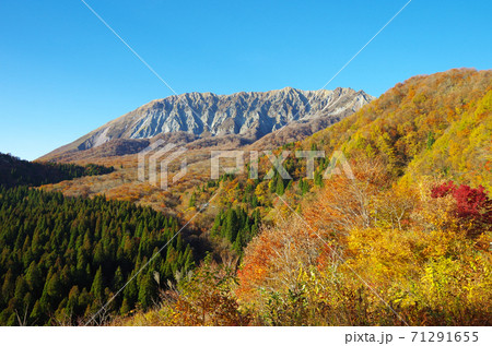 紅葉シーズンの奥大山 鳥取県 大山 鍵掛峠 快晴 の写真素材