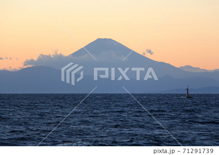 三浦半島　荒崎・潮騒のみち　潮風の丘下から見た富士山 71291739