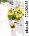 Succulent 71292086