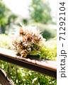 Bridal flower 71292104