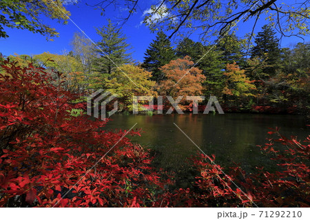 紅葉と雲場池 71292210