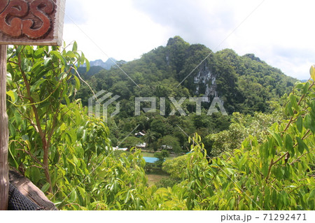 【フィリピン】パラワン島のツアーで行う登山コースの風景 71292471