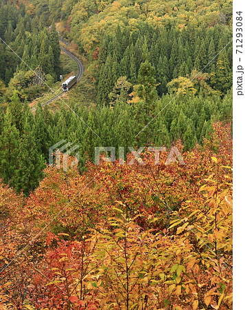 紅葉の米坂線の写真素材