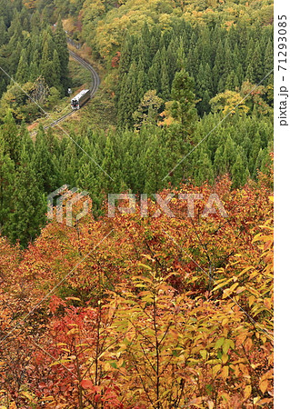 紅葉の米坂線 紅葉の米坂線 71293085
