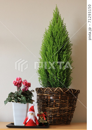 クリスマスイメージ 71293150