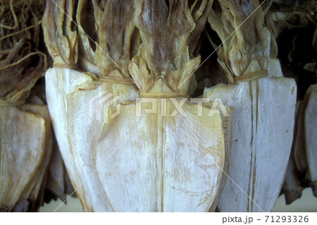 THAILAND KRABI AO NANG RAILAY MARKET THAILAND KRABI AO NANG RAILAY MARKET 71293326