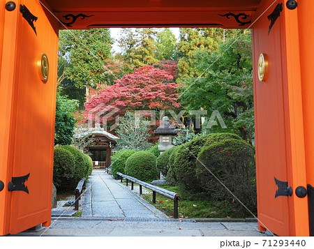 京都 栄摂院の紅葉 京都 栄摂院の紅葉 71293440