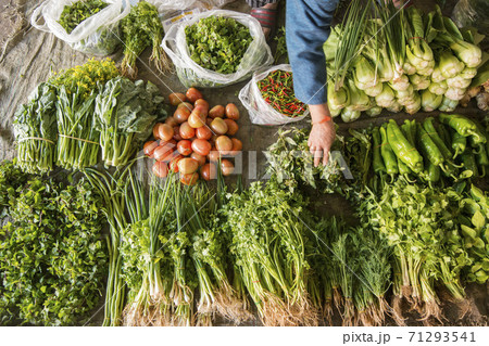 LAO HUAY XAY MARKET VEGETABLE LAO HUAY XAY MARKET VEGETABLE 71293541