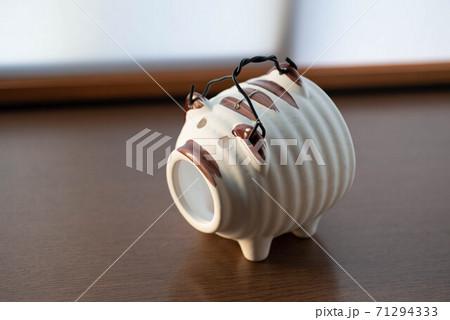 蚊遣り豚 71294333