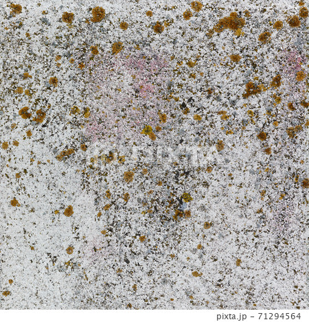 old gray stone wall with moss. Seamless texture old gray stone wall with moss. Seamless texture 71294564