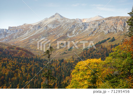 Beautiful view of the Caucasus mountains Beautiful view of the Caucasus mountains 71295456