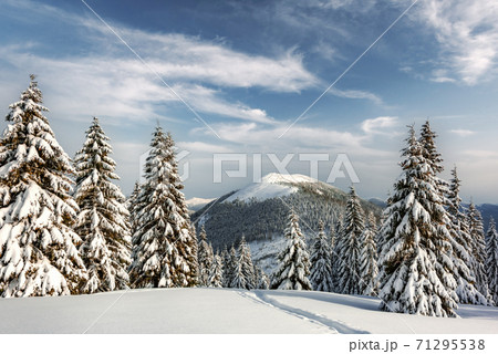 Fantastic winter landscape 71295538