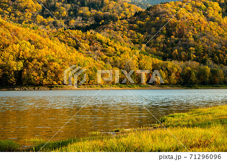 かなやま湖の紅葉、北海道10月中旬 かなやま湖の紅葉、北海道10月中旬 71296096
