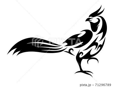 Line art vector illustration of pheasant that is walking. Line art vector illustration of pheasant that is walking. 71296789