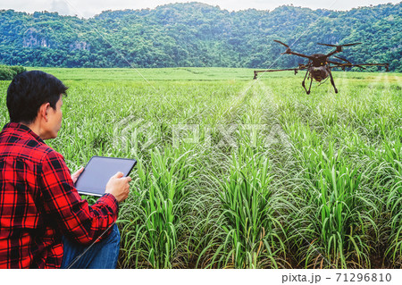 Man hand agriculture drone fly to spray fertilizer on the sugarcane fields. Industrial agriculture and smart farming drone technology 71296810