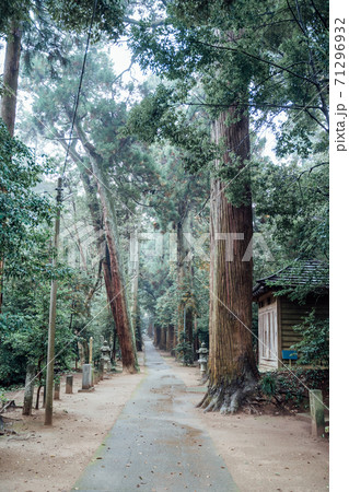 日吉神社(千葉県東金市) 日吉神社(千葉県東金市) 71296932
