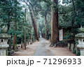 日吉神社（千葉県東金市） 71296933