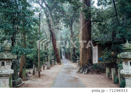 日吉神社(千葉県東金市) 日吉神社(千葉県東金市) 71296933