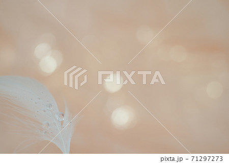 白い羽と雫の水滴アート オレンジ背景の写真素材