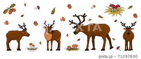 Set of Cute hand drawn cartoon isolated deers with antlers or caribou, mushrooms, leaves, grass, fly agarics, porcini mushrooms, aspen mushrooms, acorn, oak leaves on white background Set of Cute hand drawn cartoon isolated deers with antlers or caribou, mushrooms, leaves, grass, fly agarics, porcini mushrooms, aspen mushrooms, acorn, oak leaves on white background 71297630