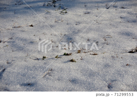 広場に積もった雪 71299553