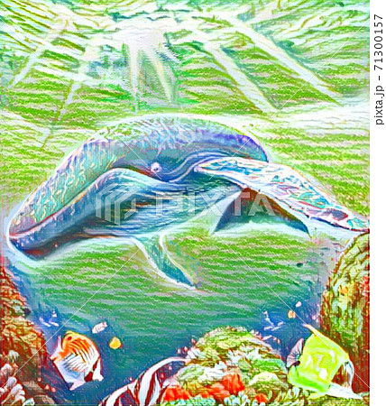 クジラのクレヨン画のイラスト素材