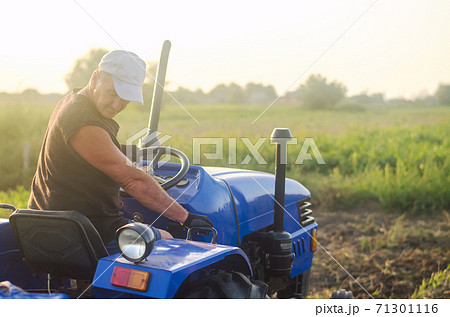 A farmer on a tractor drives across the farm field. Agricultural management skills and earthworks. Potato harvest campaign. Farming, agriculture. Harvesting potatoes in autumn. Countryside farmland. 71301116