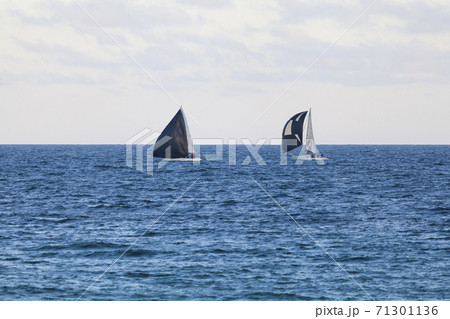 Yachts with blacks sails in the blue waters 71301136