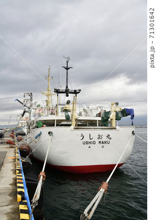 北海道函館港で係留中の北大水産学部練習船の風景を撮影 71301642