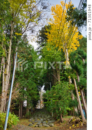 青森県八戸市 長者山新羅神社の男坂の紅葉風景の写真素材