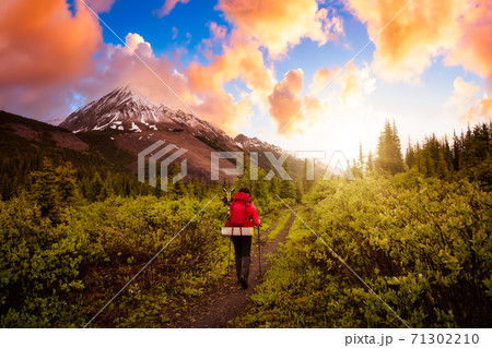 Female Backpacker Hiking in Canadian Rockies 71302210
