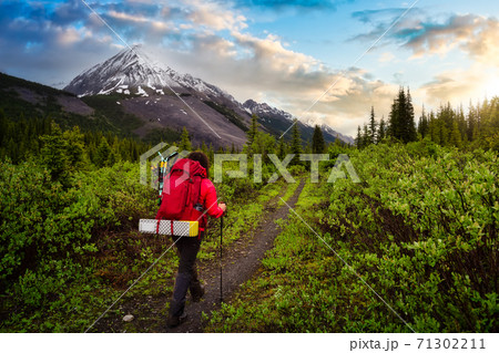 Female Backpacker Hiking in Canadian Rockies Female Backpacker Hiking in Canadian Rockies 71302211